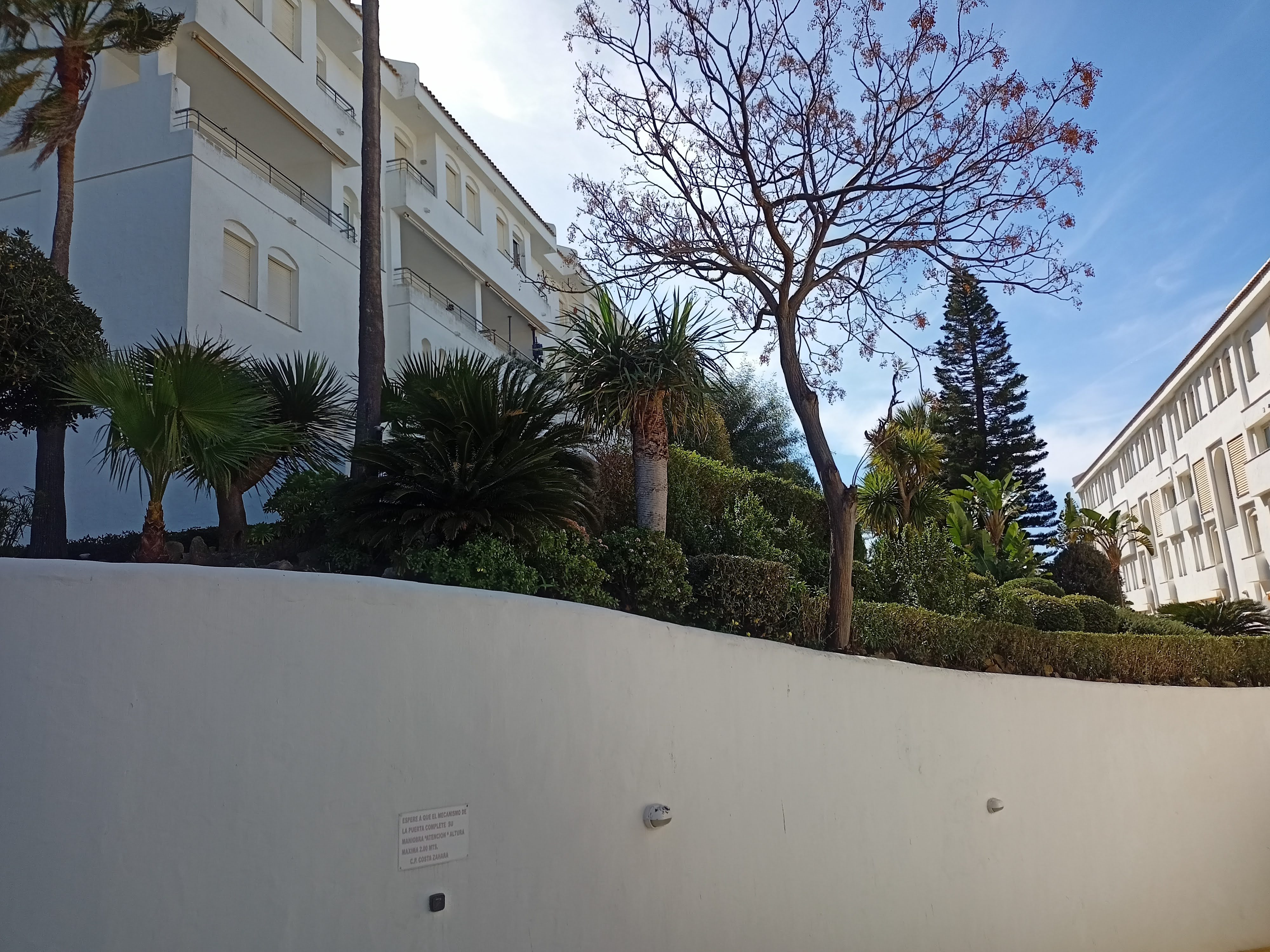  jardín